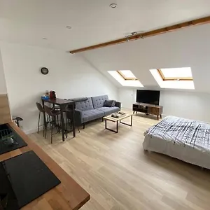 studio-des-arts-netflix-et-wifi.hotels-rhonealpes.com/